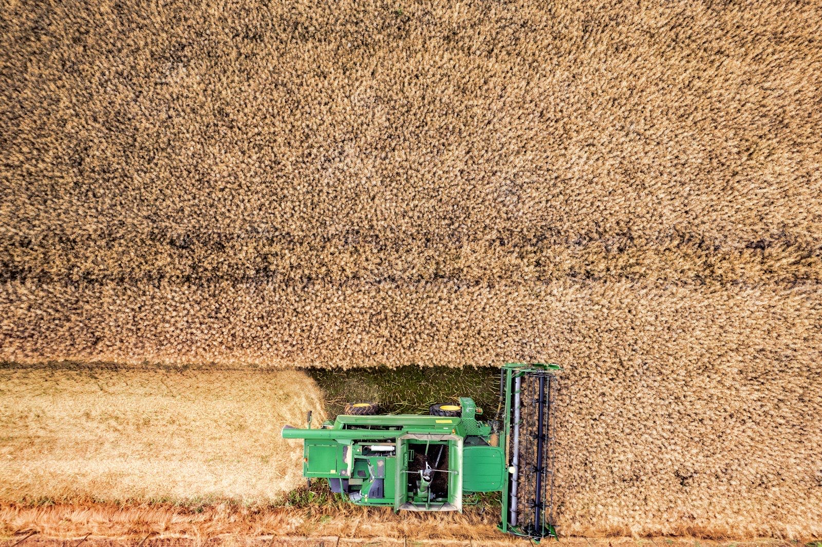 Tractor in a green wheat field — the kind of ground often top-dressed by drone