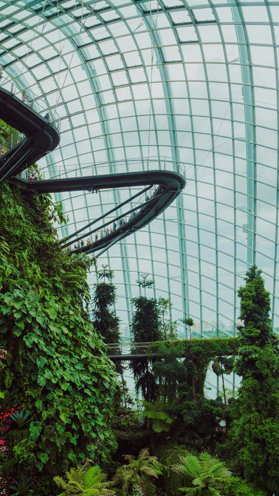 Glass greenhouse interior